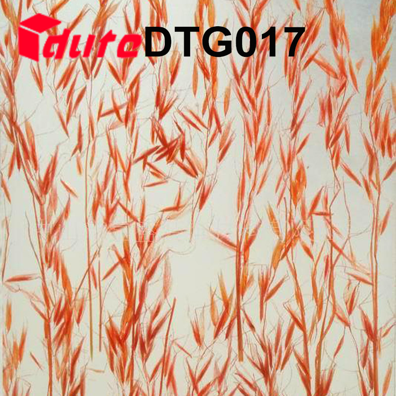 DTG017